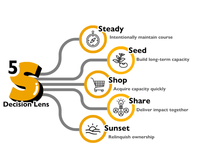 Infographic of La Piana's 5S Decision Lens.
