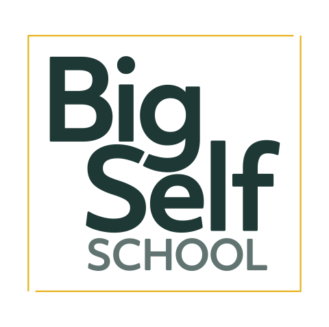 Big Self School logo