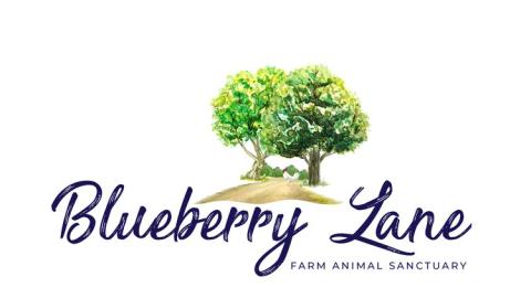 Blueberry Lane Farm Animal Sanctuary